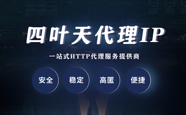 【景德镇代理IP】代理ip客户端使用教程