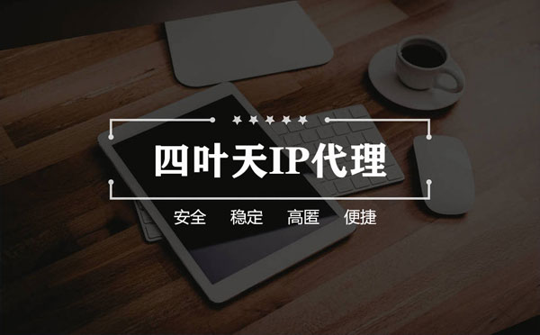 【景德镇代理IP】如何快速搭建代理IP？怎么检查代理的效果？