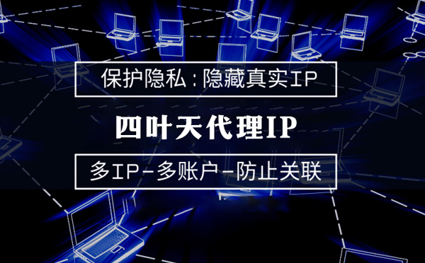 【景德镇代理IP】什么是代理ip池？如何提高代理服务器的网速